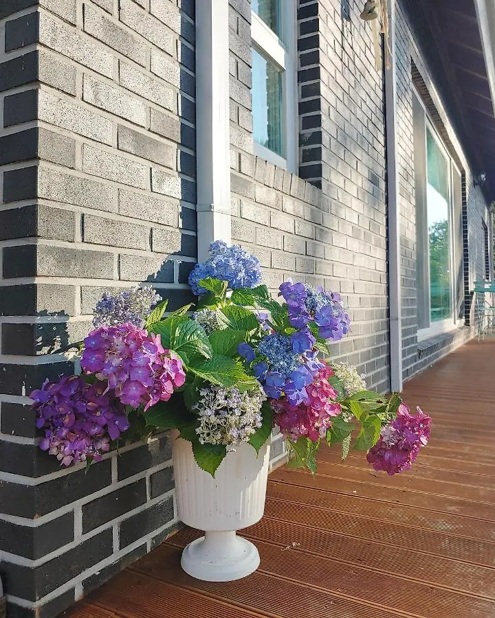 Lalala The Pretty Hyeopjae Pension 0*, Jeju South Korea
